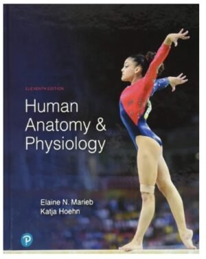 Human Anatomy